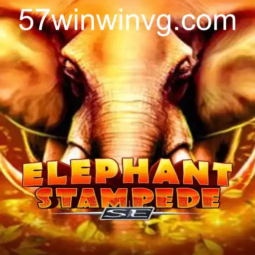 ElephantStampedeSE